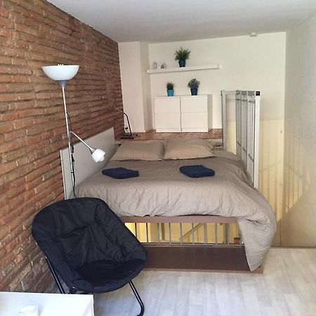 Apartament Le Petit Moulin, Duplex Hypercentre Tuluza Zewnętrze zdjęcie