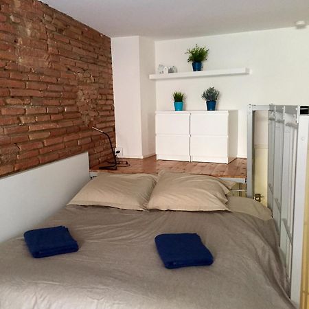 Apartament Le Petit Moulin, Duplex Hypercentre Tuluza Zewnętrze zdjęcie